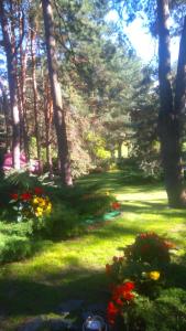 Ogród w obiekcie Pensjon Paradise