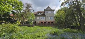 an old house with a field of flowers in front of it at Das blaue Haus - Huize Hubertus in Sankt Andreasberg