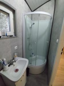 a bathroom with a shower and a sink at Sosnowy Zakątek, Laskowo in Laskowo +13 photos