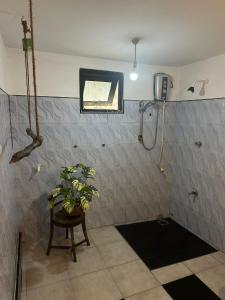 a bathroom with a shower with a potted plant in it at Jungle Flower Town in Matara