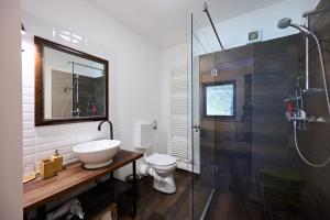 a bathroom with a toilet and a sink and a shower at Guesthouse S in Luče +114 photos