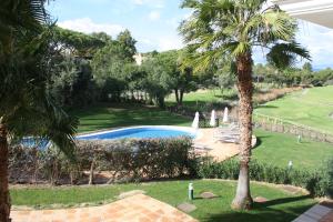 a swimming pool in a yard with a palm tree at Quinta Formosa - Villas in Quinta do Lago