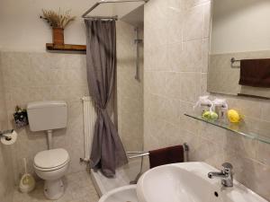 a bathroom with a toilet and a sink and a shower at I Castagnini in Montecatini Val di Cecina +24 photos