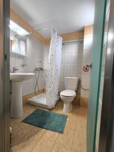 a bathroom with a toilet and a sink and a shower at Johanna's apartment 2 in Preveza