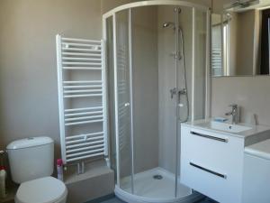 a bathroom with a shower and a toilet and a sink at Chalet les Ombrettes in Ceillac