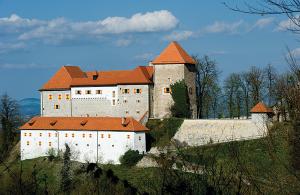 um grande castelo branco com um telhado vermelho sobre uma colina em Apartments Kozjanski park em Podsreda