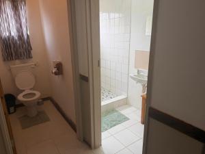 a bathroom with a toilet and a shower and a sink at Marzel Guesthouse - Room 2 in Britstown +9 photos