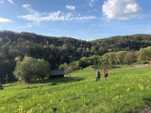 two people walking in a field of green grass at A Páholy - Grand Chalet Mátra in Mátraszentimre +2 photos