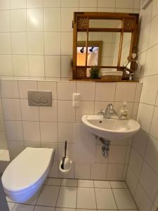 a bathroom with a toilet and a sink and a mirror at Wildhütte Schinderhannes in Schwarzerden