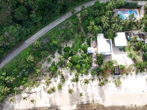 an aerial view of an island with trees and a road at Coastline Homestay in Burgos