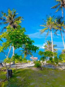 a group of palm trees on a beach at Coastline Homestay in Burgos