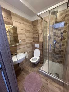 a bathroom with a toilet and a sink and a shower at Penzion Teplanka in Považská Bystrica