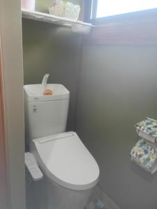 a small bathroom with a white toilet in a room at 波松の家 in Awara