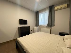 a bedroom with a large bed and a television at Lifto Hostel in Voyvodinovo