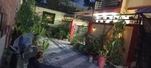 a courtyard with potted plants in front of a building at Cozzy in Nagpur