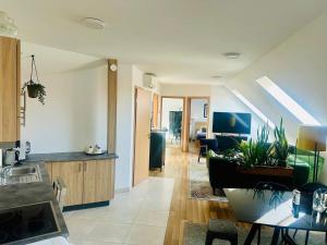 a kitchen and living room with a couch and a table at Studio apartman in Kőszeg