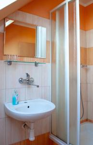 a bathroom with a sink and a shower at Penzion Pecák in Hatín