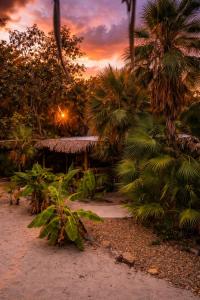 a garden with palm trees and a sunset in the background at Kin Resort Lodge in Maya Beach