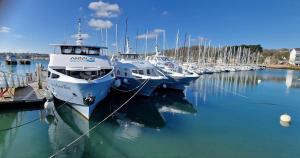 a group of boats docked in a harbor at love room, sauna et balnéo in Perros-Guirec