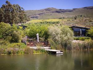 a lake with a wooden dock and a house at Camissa Farm in Stellenbosch