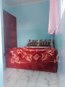 a bed in a blue room with a red blanket at Chambre et apparts meublés, Yaoundé - FOKOU EMANA in Yaoundé