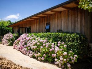 a row of pink flowers in front of a building at Camissa Farm in Stellenbosch