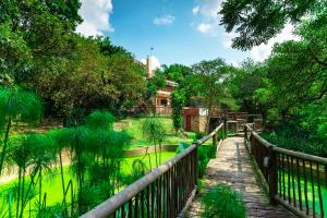 a wooden bridge over a garden with a green pond at The View Guesthouse in Nelspruit