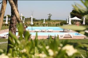 a large swimming pool with chairs and umbrellas at Marina Fiorita in Grado