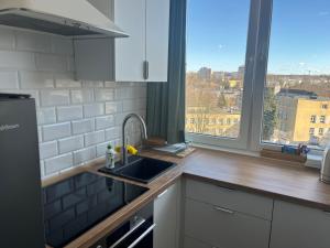 a kitchen with a sink and a window at Apartament Emilia in Koszalin
