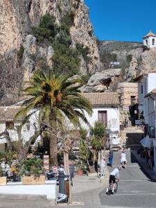 a person riding a bike down a street with a palm tree at CASAMONTl in Sanet y Negrals