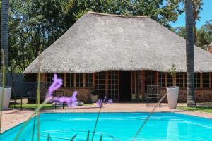 a building with a grass roof next to a swimming pool at Luxury Heights Bed and Breakfast in Newcastle