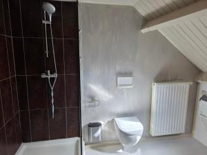 a bathroom with a shower and a toilet at StayTommy in Bertem +17 photos