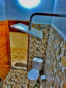 a bathroom with a toilet and a stone wall at Sumatra Thomas Leaf Monkey Guesthouse & Jungle Trek in Bukit Lawang