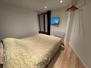 a bedroom with a bed and a tv on the wall at Maison cosy - 4 pers - Disney & Route du Champagne in Citry