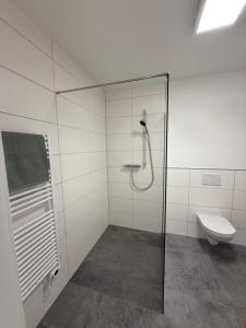 a bathroom with a shower and a toilet at Ferienwohnung 2 Stock Bad Schallerbach in Bad Schallerbach