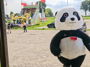 a stuffed panda bear in front of a playground at Gospoda Rycerska pod Grunwaldem in Grunwald +8 photos