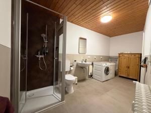 a bathroom with a shower toilet and a washing machine at Ferienwohnungen Zum Alten Buchbinder in Guntersblum +19 photos