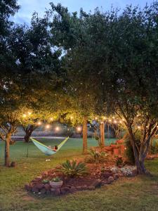 a person sleeping in a hammock in a yard with trees at Mountains and More in Hekpoort