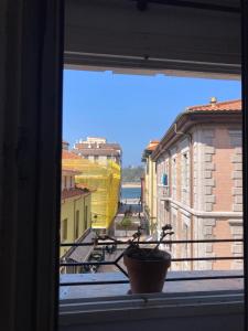a window with a potted plant sitting on a window sill at Casco antiguo en Ribadesella in Ribadesella