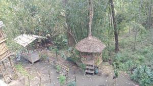 a small hut in the middle of a forest at DSD Bomzon Homestay in Darjeeling