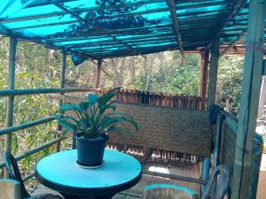 a potted plant sitting on a table on a porch at DSD Bomzon Homestay in Darjeeling