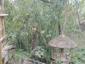 a small hut in the middle of a forest at DSD Bomzon Homestay in Darjeeling