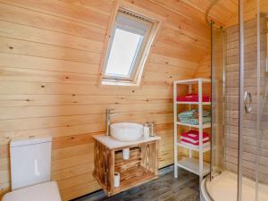 a bathroom with a toilet and a sink and a shower at 1 Bed in Alfreton oc-90518 in South Wingfield +10 photos