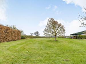 a tree in the middle of a grass field at 1 Bed in Hereford oc-87736 in Moccas +10 photos