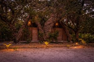 a house with a tree with lights in front of it at Muluk Grove Lodge in Placencia