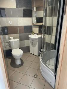 a bathroom with a toilet and a sink and a shower at Gospoda Rycerska pod Grunwaldem in Grunwald