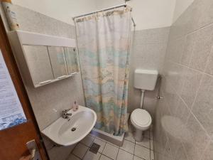 a bathroom with a sink and a toilet and a shower curtain at Apartmani Štefica in Razvala +13 photos