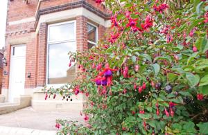 a tree with red flowers in front of a house at Ashville Grange Scarborough Sleeps 10 Large Beautiful House in Scarborough