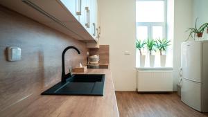 a kitchen with a sink and a refrigerator at Peony Apartment in Kroměříž +5 photos