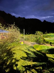 a view of a yard with grass and trees at Versant Caraïbes in Gourbeyre